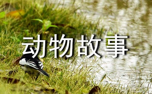 �x�����D������¡��и�