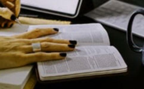 ����Ԣ�Լ��x���