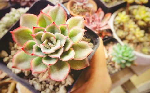 �Ґ۶����S�P400�֣����x13ƪ��