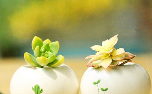 ���]�������^����ӛ