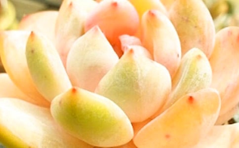 �����^����ӛ����15ƪ