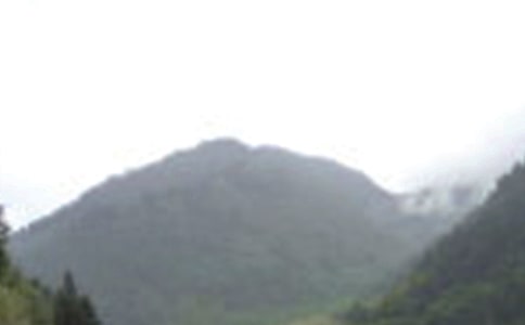 ��üɽ��(d��o)���~