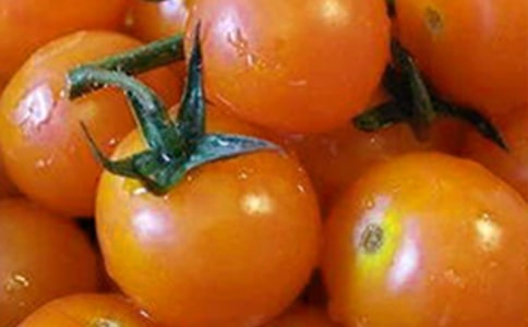 課文《番茄太陽》優秀教案