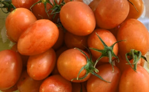 ���������t����Ԋ