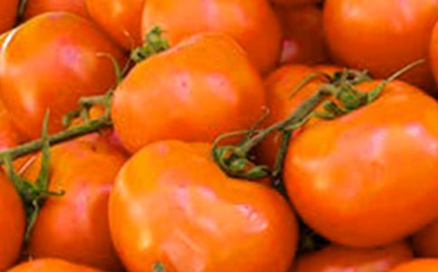 �x������̫ꖡ��и�