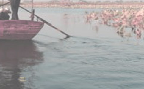 ������ˮ��ɢ��