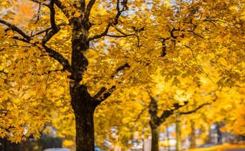 �_܇·���L(f��ng)���������f�f