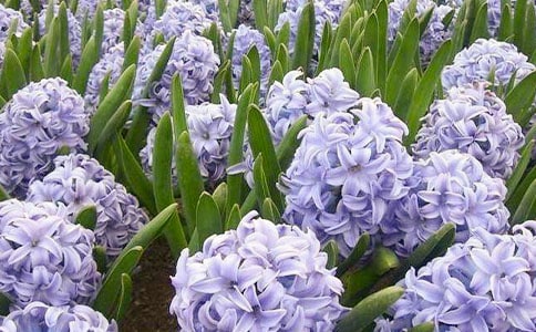 �L(f��ng)�����^����ӛ����