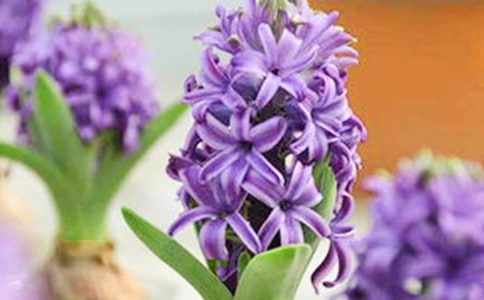 �L����������ӛ