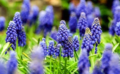 �P(gu��n)���茑�L(f��ng)���ӵ�����