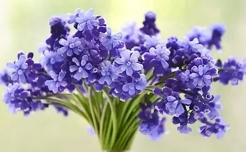 ��һ�L������ӛ400��-��ϲ�g�L����