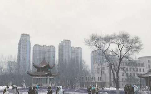 描寫風雪的詩句