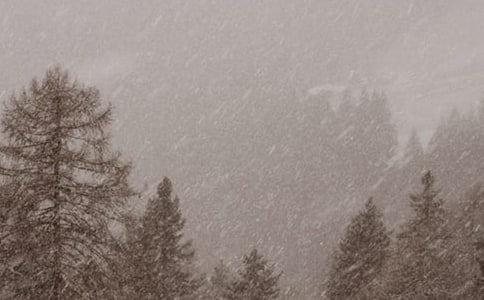 �Lѩ���RԊ��