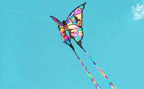 �L�~�F(xi��n)������x��8ƪ