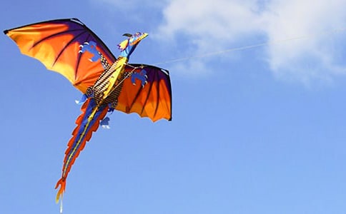 �L�~���f�f