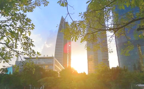 ���Ժͷ������