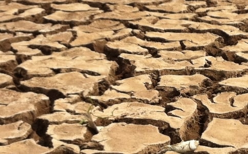 �����Ǹɺ��r(sh��)��(ji��)��һ��ˮ900������