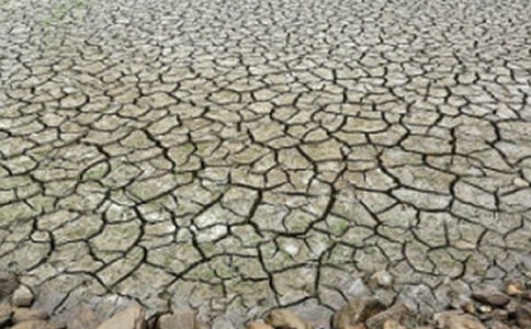 �ɺ��ķ��x�~2ƪ