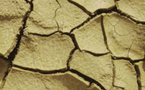 �r(n��ng)��ɺ����Ϲ�ˮ��ʩ��(sh��)ʩ�������ģ�ͨ��6ƪ��