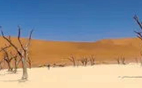 ������λ�Į���͸ɺ������v��