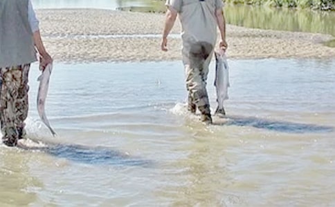 ���炃�����ĵľ���