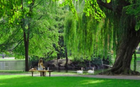 �I�����@�����~���Ľ�B