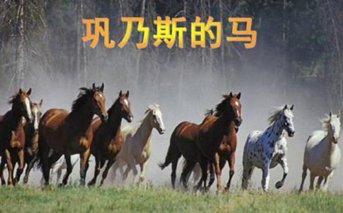 �P�ڡ����˹���R������x����