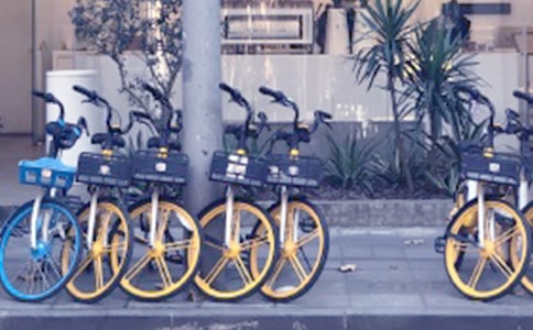 �����܇�ȳ������i���\2017