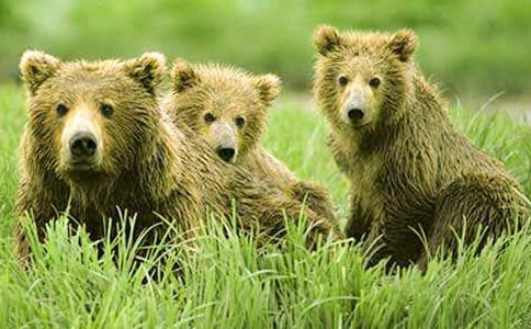 С���Α�(y��u)��̰����̌W(xu��)��˼��С���ڹ����_߅��·�ˡ�