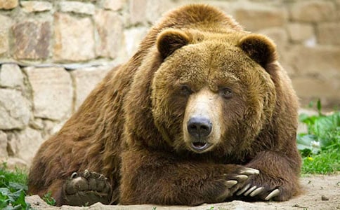 ��ֻ�����̰ܽ������x18ƪ��