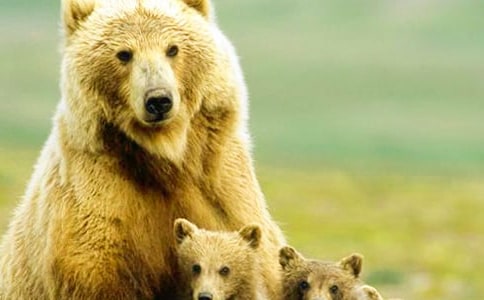 �����ܡ���x��