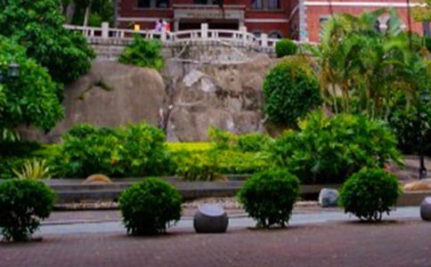 鼓浪嶼導游詞(15篇)