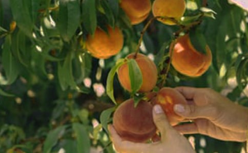 ���@�옷�ĕr����x��