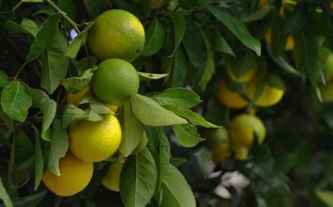 ���@�C���˃���̰�