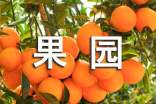 有關描寫果園的句子