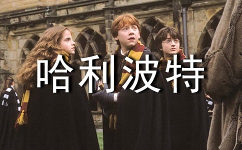 哈利波特與密室六年級讀后感三篇