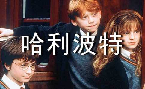 ���������x���800�֣����x20ƪ��