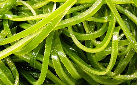 ��ཡ���L(zh��ng)�L(zh��ng)�ĺ����̰�