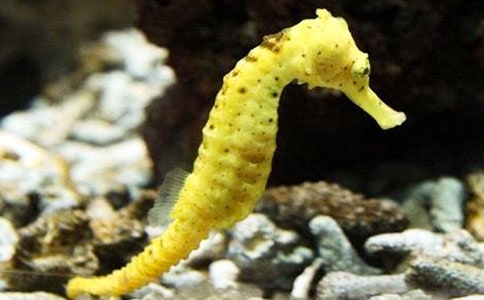 �P��С���R��ʲô�Ǹ��H������x�}����