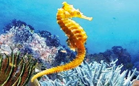 ���R�ְֵ�����