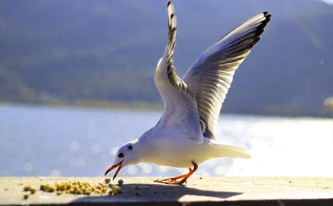 �����t����̹���̰��߄�