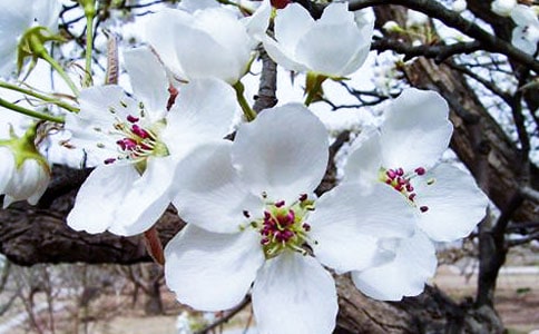 ٝ�����Ļ���Ԋ�䣨���x15�ף�