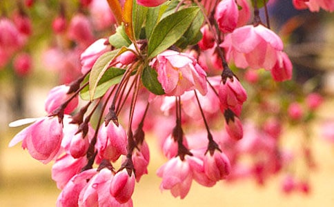 ��еĺ����x���