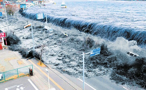 《神秘的海嘯》的閱讀練習題和參考答案