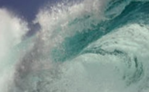 ���[�c��������