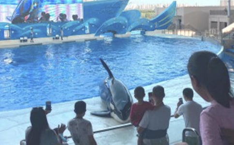 游玩海洋公園周記