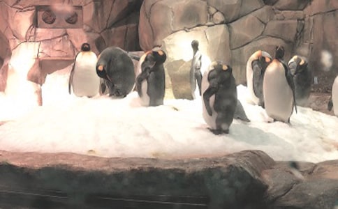 ��һ������ӛ֮�κ��󹫈@