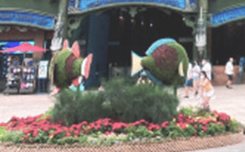 ��ۺ��󹫈@�Ŀ���f�����~