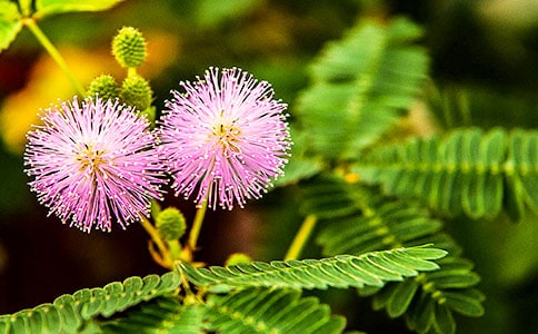 �P�ں��߲��^����ӛ