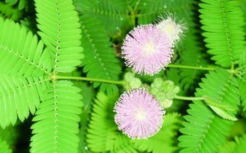 �N���߲��^����ӛ300��